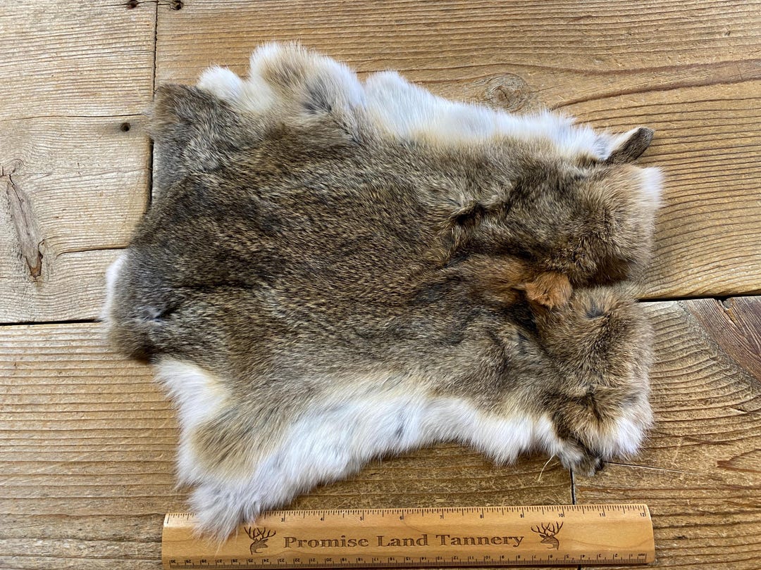 Brown Rabbit Hide One Average Natural Rabbit Fur No. 240907-EE - Etsy