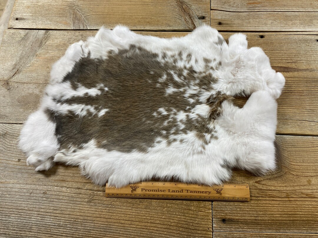Gray/brown and White Spotted Rabbit Hide - One Jumbo - Natural Rabbit ...