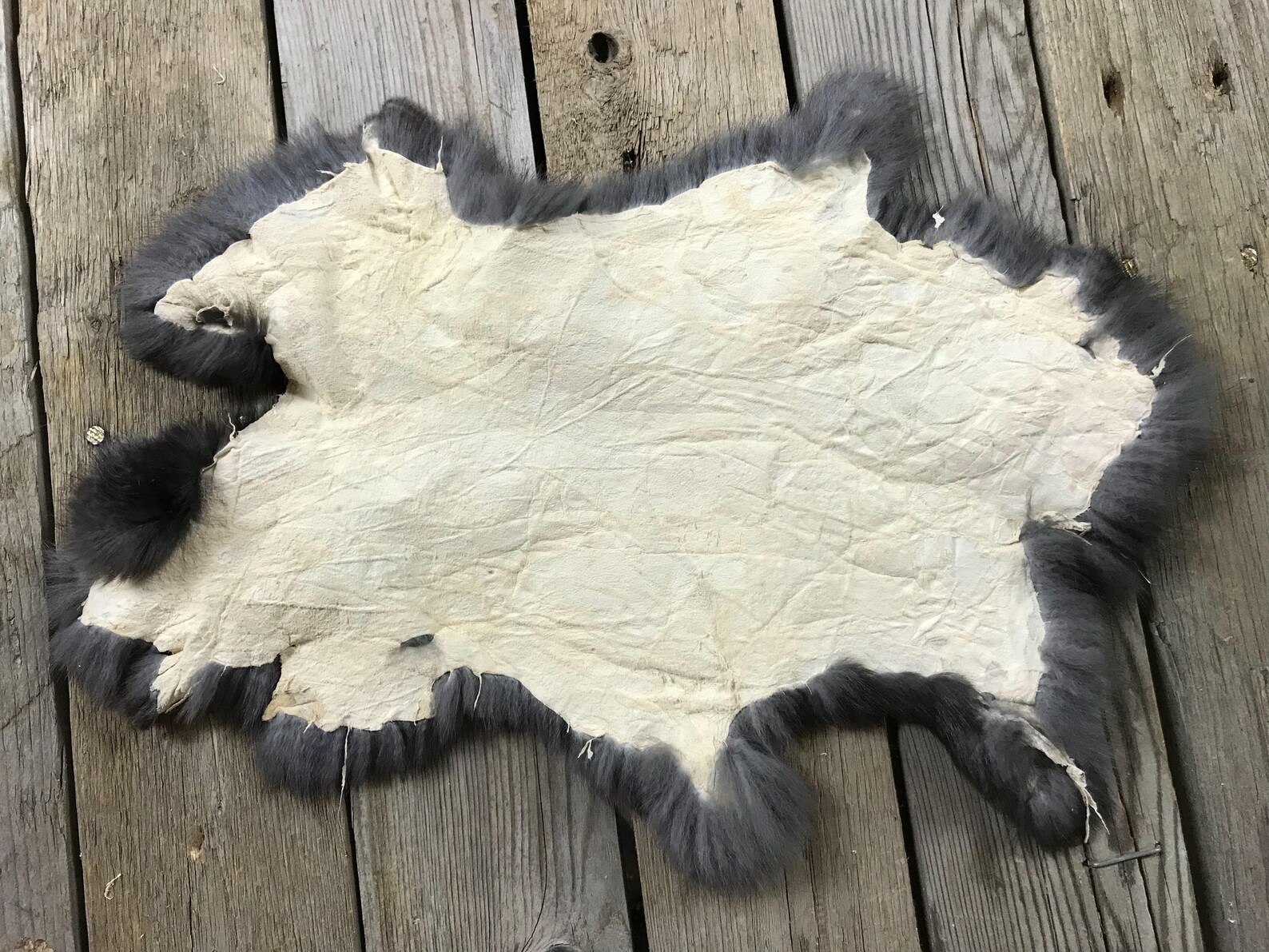 Lote de 4 Surtidos Pieles de Conejo Como Se Muestra Piel de Etsy