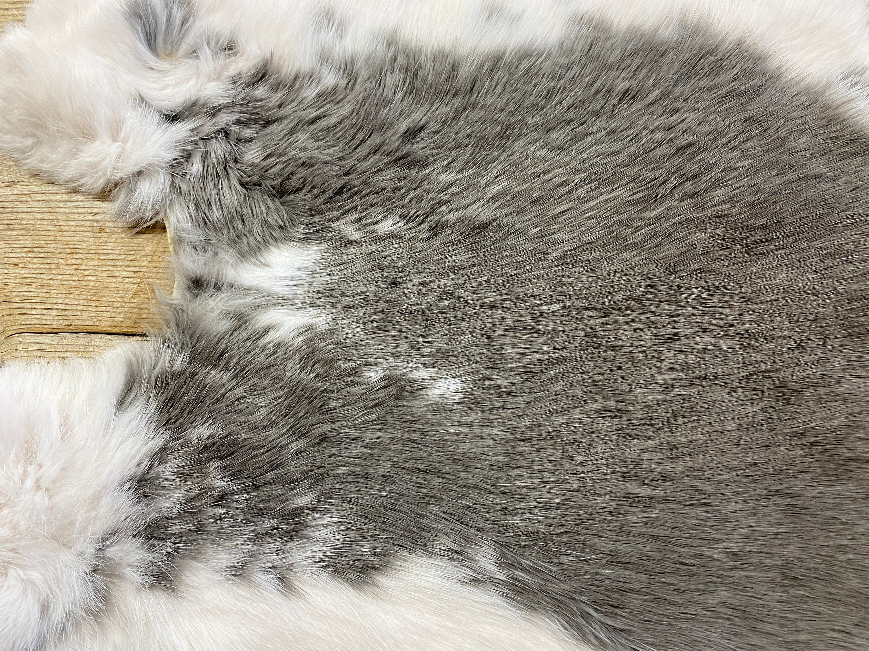 Grey Rabbit Hide Gray and White Spotted Rabbit Hide - One Average - Natural Rabbit Fur ...
