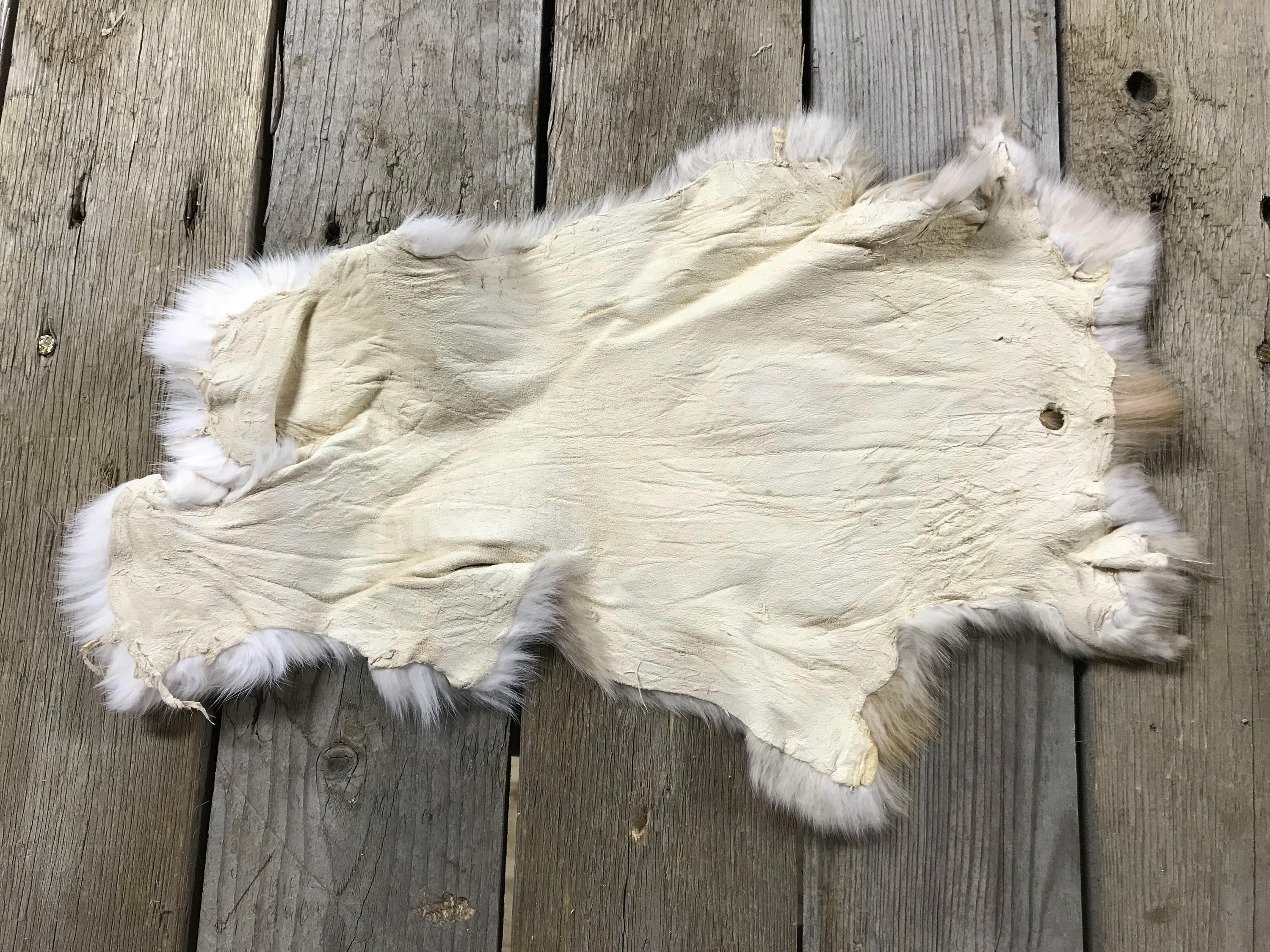 Lot of 4 Assorted Rabbit Hides as Shown Natural Rabbit Fur Etsy