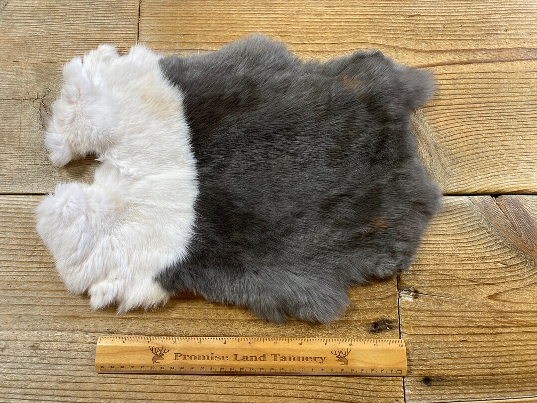 Gray and White Dutch Rabbit Hide - One Average - Natural Rabbit Fur ...
