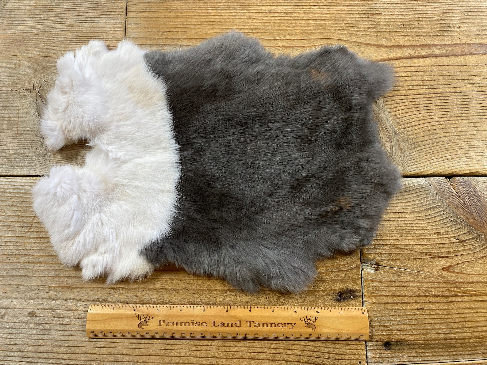 Grey Rabbit Hide Gray and White Dutch Rabbit Hide - One Average - Natural Rabbit Fur ...