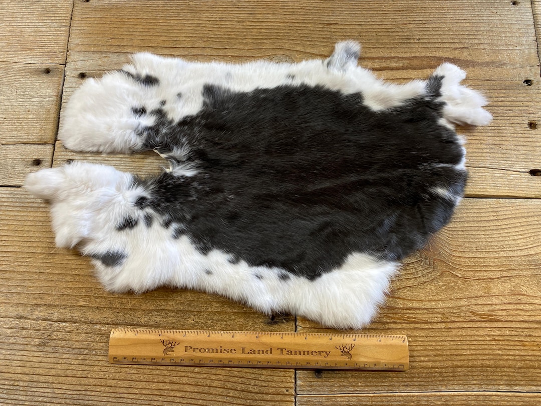 R for Rabbit Hide & Seek Plus- Black main image 0