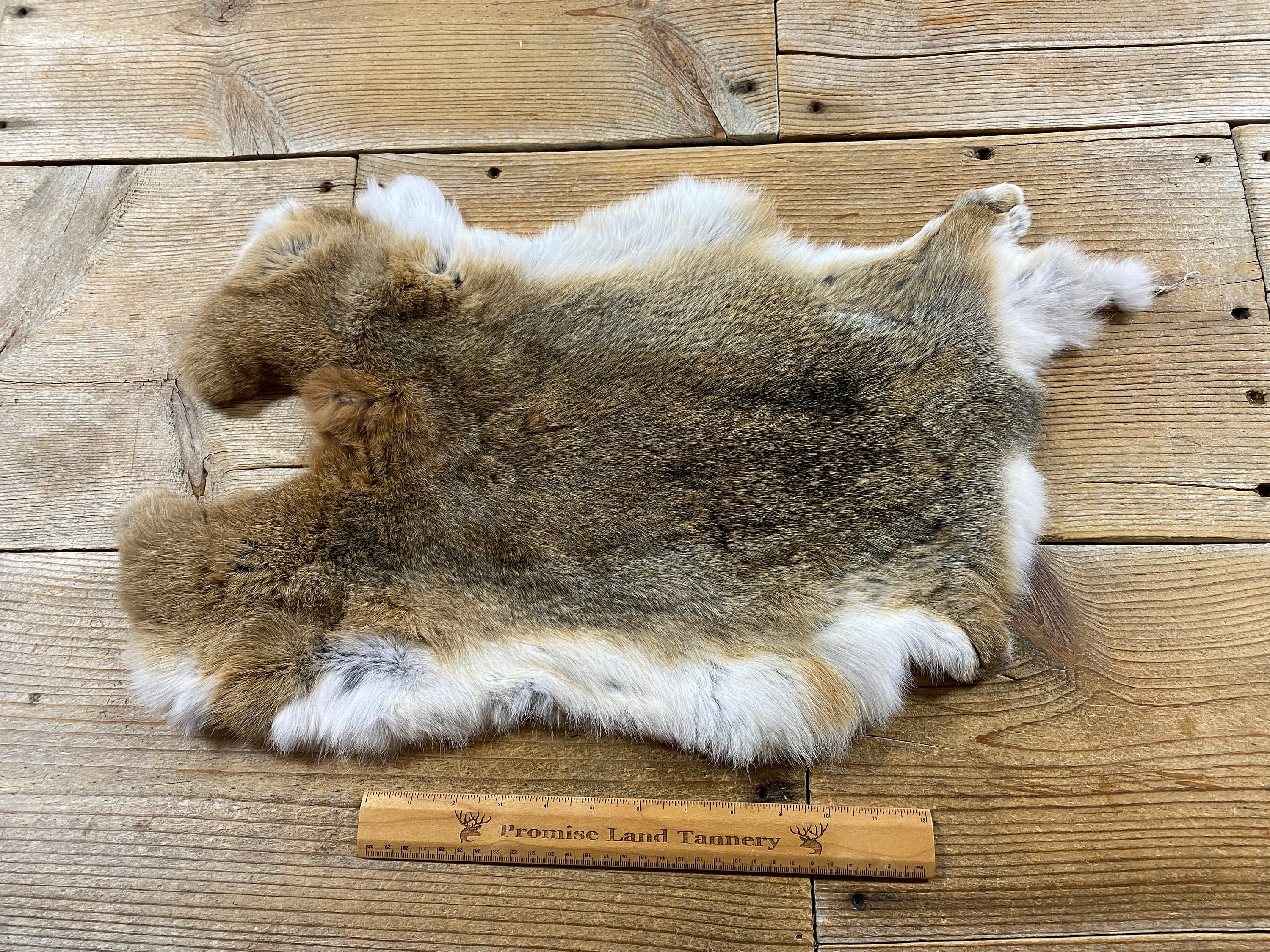 Assorted Bulk Grade Natural Rabbit Pelt with Fur (10 by 14) Rabbit Skins  Fur Hide Leather for Decoration & Crafts Cat/Dog Toys Soft Professionally