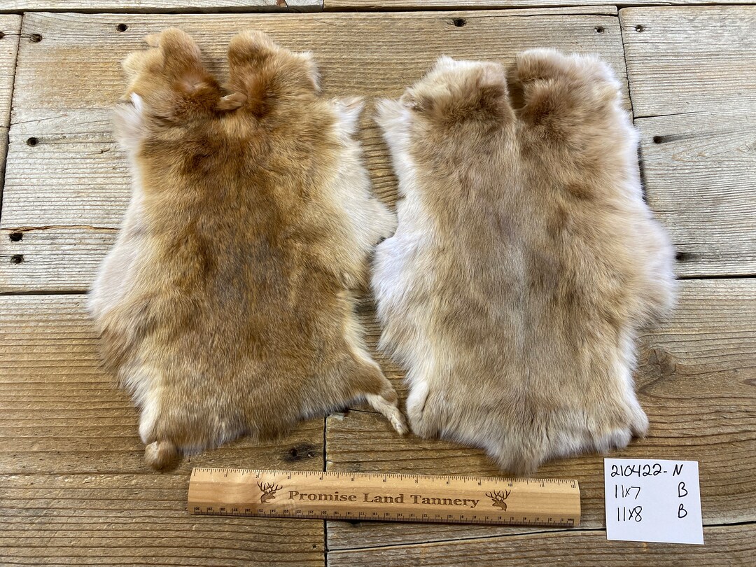 Lot of 2 Assorted Brown Satin Rabbit Hides as Shown Natural Rabbit Fur ...