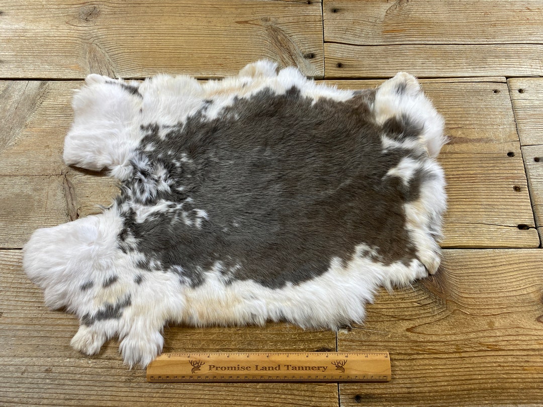 Grey Rabbit Hide Gray and White Spotted Rabbit Hide - One Average - Natural Rabbit Fur ...