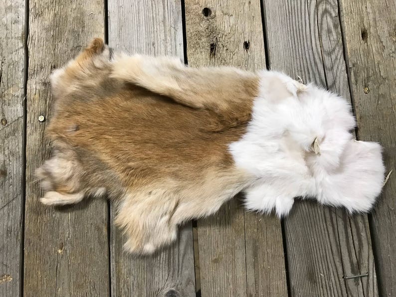 Lot of 4 Assorted Rabbit Hides As Shown Natural Rabbit Fur Etsy