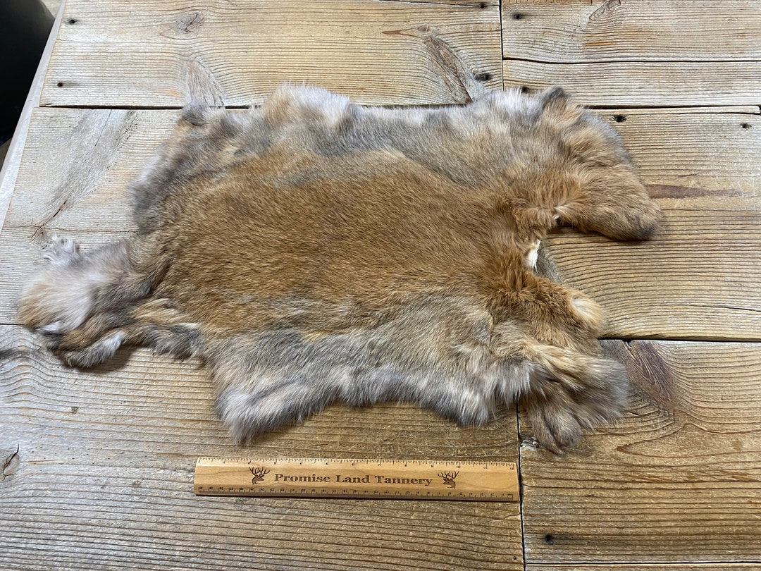 Gray/brown Rabbit Hide - One Jumbo - Natural Rabbit Fur - Lot No ...