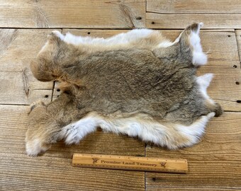 Grey Rabbit Hide Gray/brown Rabbit Hide - One Jumbo - Natural Rabbit Fur - Lot No ...