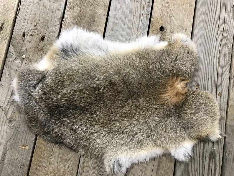 Lot of 4 Assorted Rabbit Hides as Shown Natural Rabbit Fur Etsy