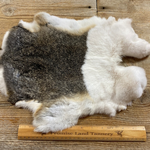 Tortoise and White Dutch Rabbit Hide - One Average - Natural Rabbit Fur- Lot No. 230928-AAA