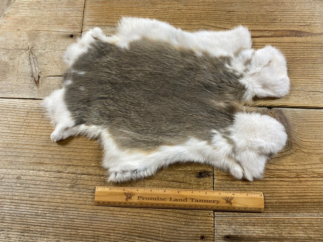 Gray and White Rabbit Hide One Average Natural Rabbit Fur - Etsy