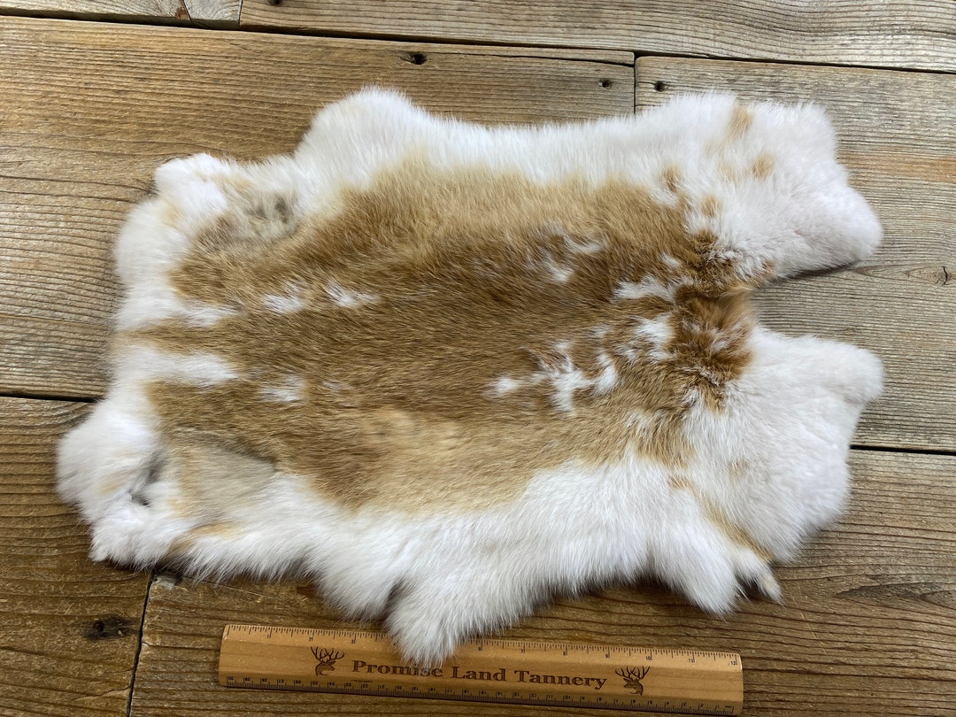 Brown and White Spotted Rabbit Hide One Average Natural Rabbit Fur Lot ...