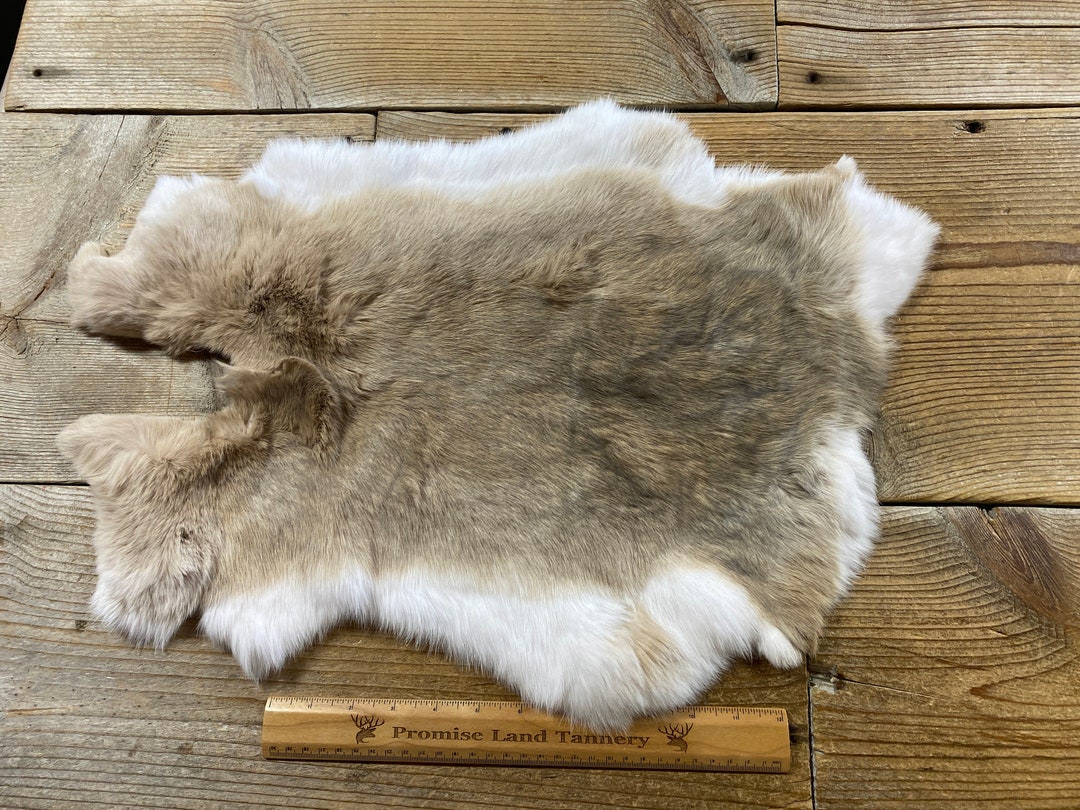 Gray/brown Rabbit Hide - One Average - Natural Rabbit Fur - No. 230125 ...