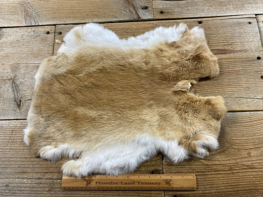 Tan Rabbit Hide - One Average - Natural Rabbit Fur - Lot No. 231130-FF ...