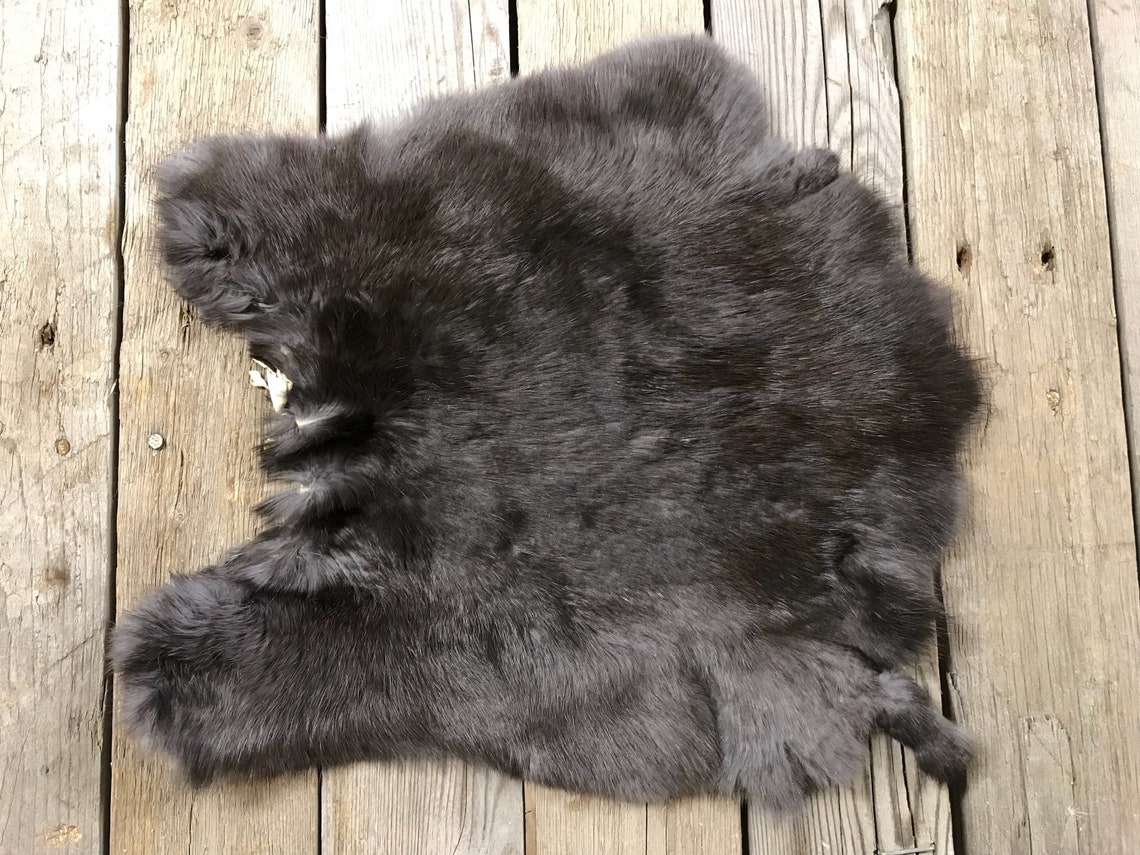 Lote de 3 assuras de cueros de conejo como se muestra Piel Etsy