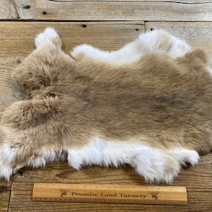 Tan/Fawn Rabbit Hide - One Average - Natural Rabbit Fur - No. 230330-J