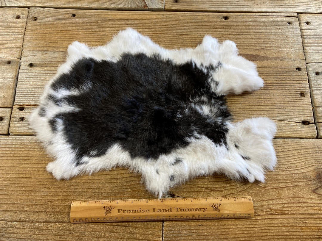 R for Rabbit Hide & Seek Plus- Black main image 1