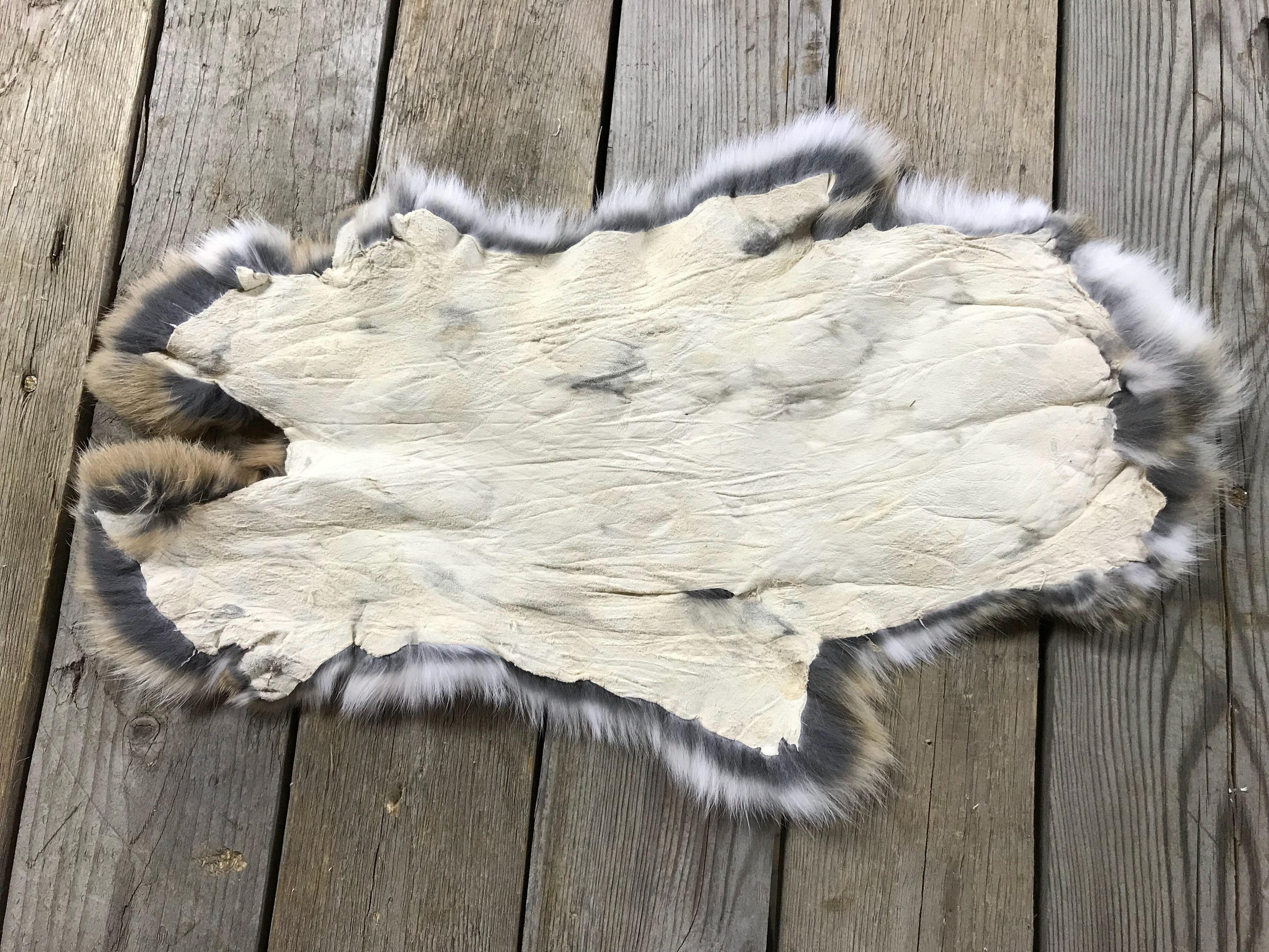 Lot of 4 Assorted Rabbit Hides as Shown Natural Rabbit Fur Etsy