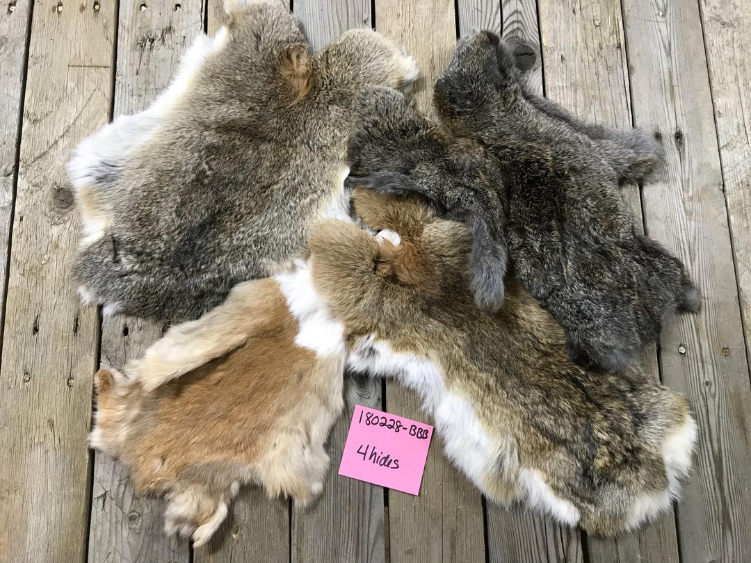 Lot of 4 Assorted Rabbit Hides- as Shown- Natural Rabbit Fur- No ...