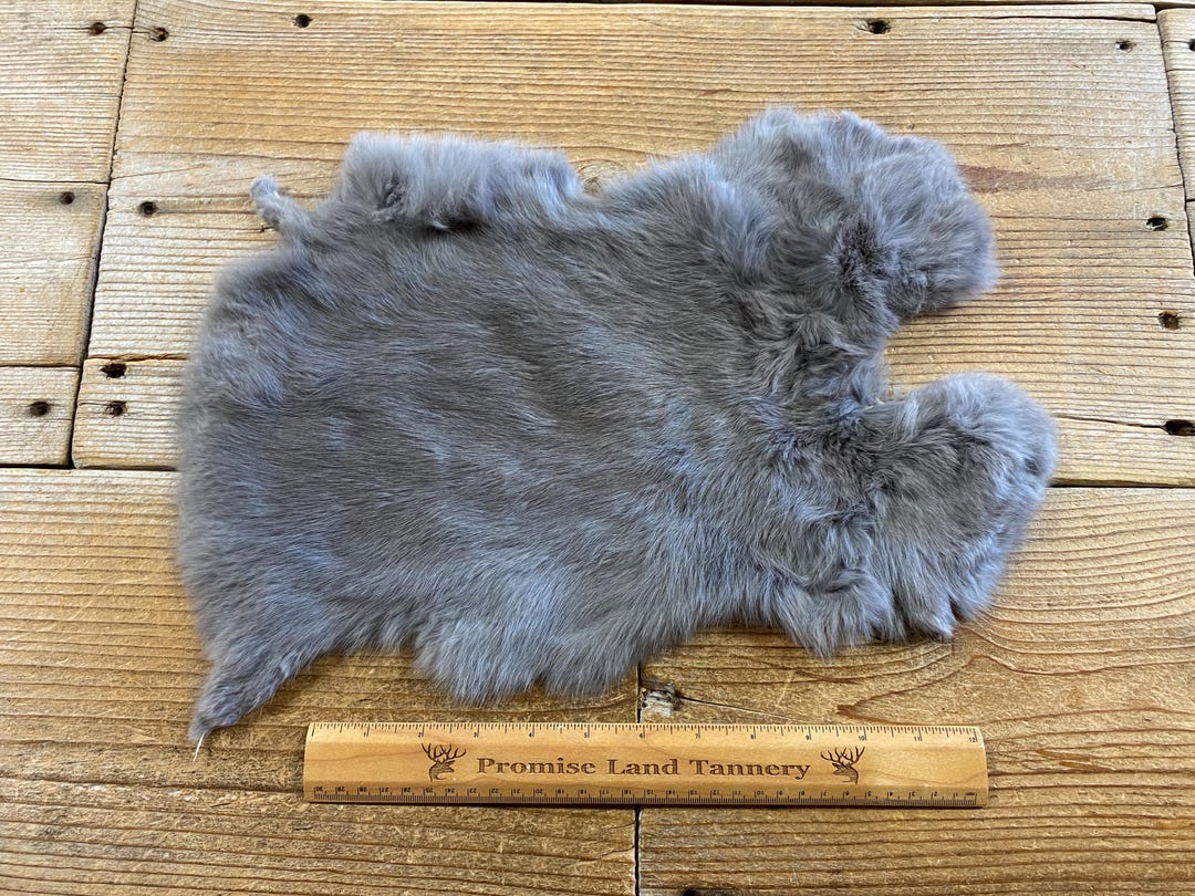 Grey Rabbit Hide Gray Rabbit Hide - One Average - Natural Rabbit Fur - Lot No. 240707 ...