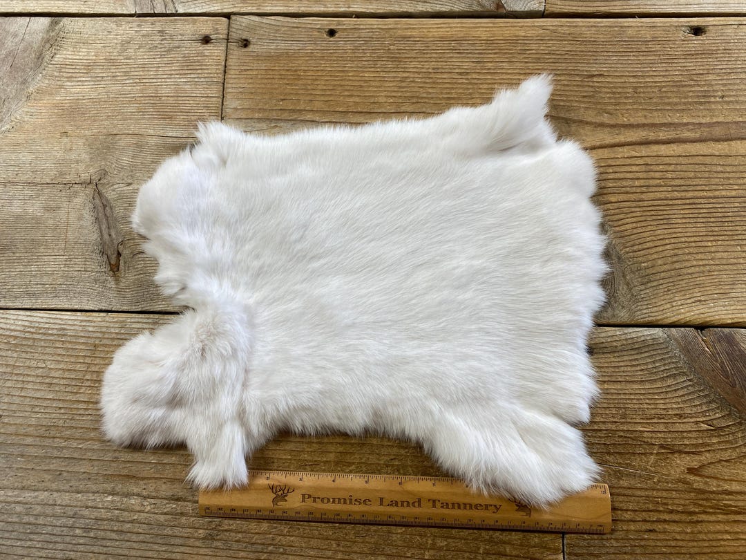 White Rabbit Hide - One Average - Natural Rabbit Fur- Lot No. 240907-OO ...