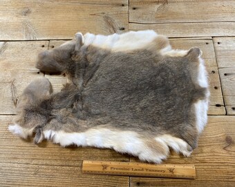 Chinchilla Gray Rabbit Hide - One Average - Natural Rabbit Fur - No ...