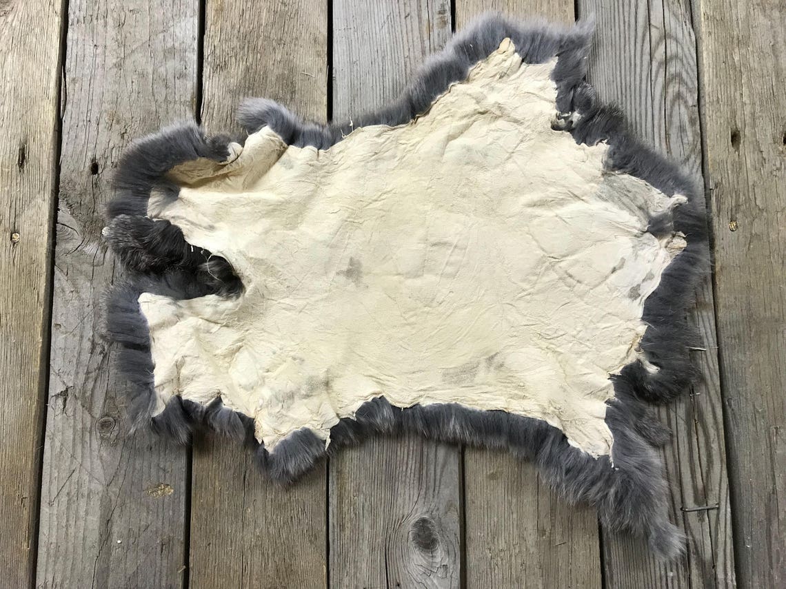 Lot of 4 Assorted Rabbit Hides as Shown Natural Rabbit Fur | Etsy