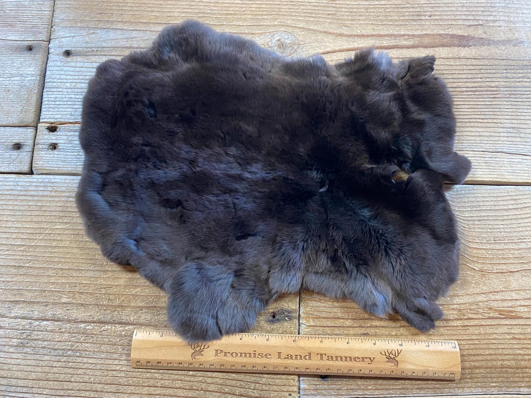 Black Rex Rabbit Hide - One Average - Natural Rabbit Fur- No. 240907-F ...