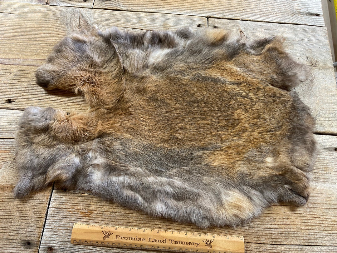 Gray/brown Rabbit Hide - One Jumbo - Natural Rabbit Fur - Lot No ...