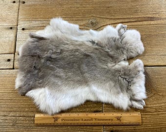 Brown Rabbit Hides - Two Matching Average - Natural Rabbit Fur - No ...