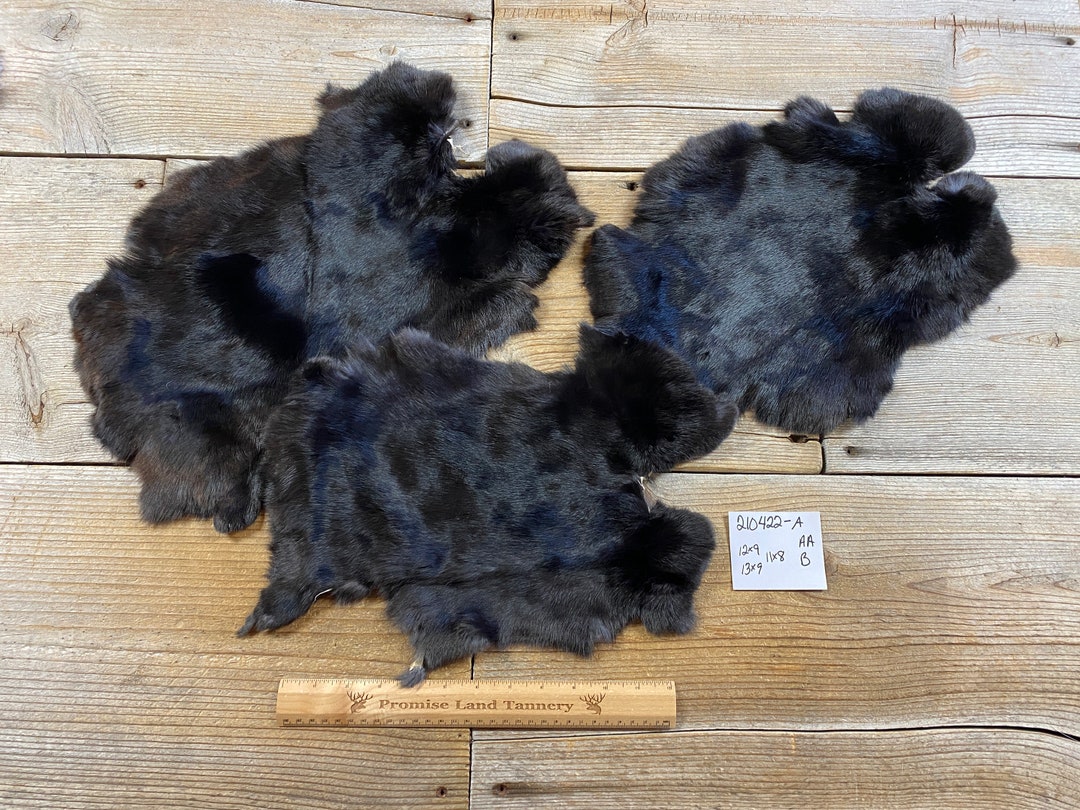 Lot of 3 Average Black Rabbit Hides as Shown Natural Rabbit - Etsy Canada