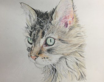 Colored Pencil Portrait