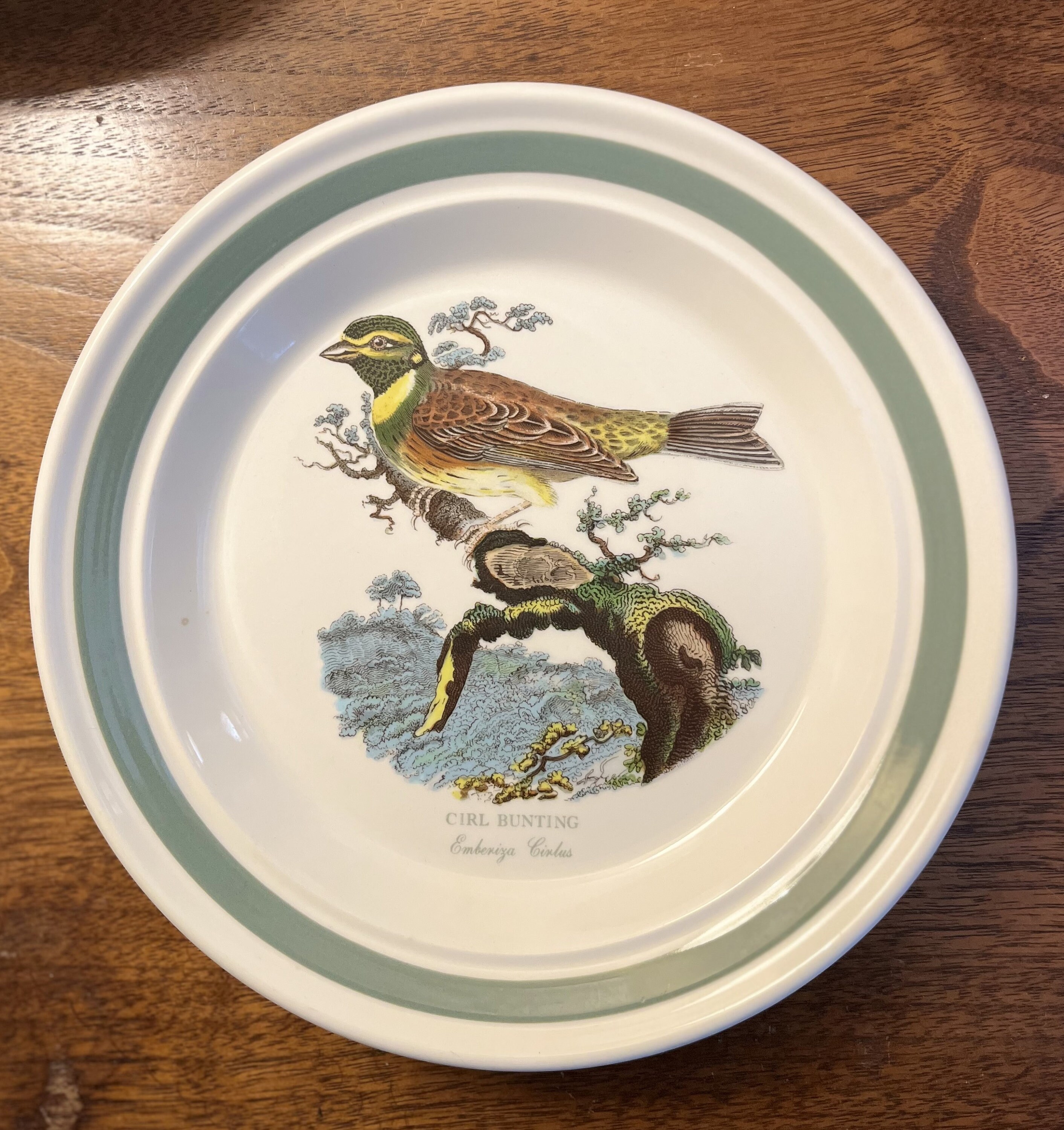 ポートメリオン【バーズ・オブ・ブリテン】　プレート5枚　バーズオブブリテン Portmeirion Birds of Britain - Etsy