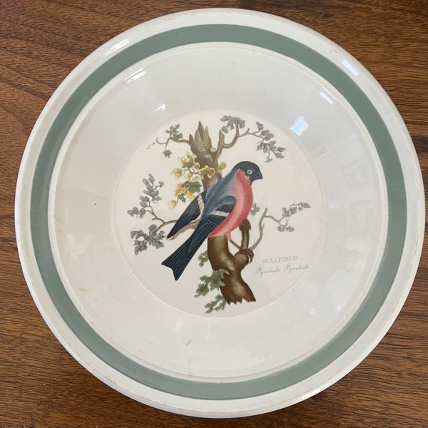 Rim SOUP BOWL Birds of Britain by PORTEIRION Vintage 1980's Collectible English Ceramic Bull Finch Solid Green Rim Collectible Dinnerware