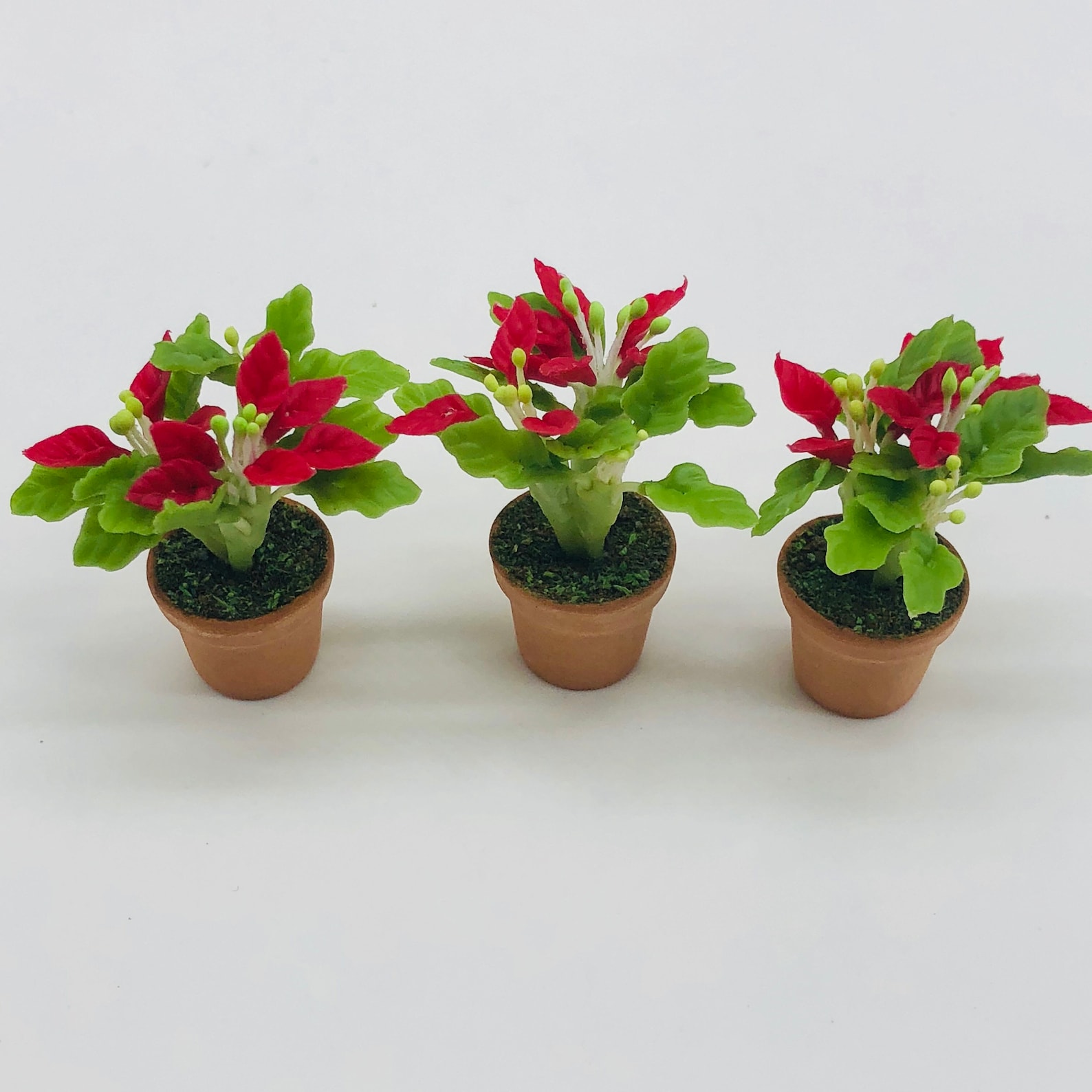 3 Pieces Miniature Poinsettia in Pot Miniature Plant in Etsy