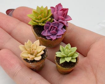 3 piezas de suculentas en miniatura de arcilla, jardín de cactus para casa de muñecas escala 1:12