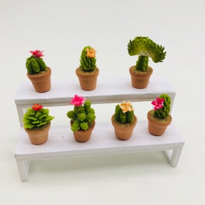 7 pieces Miniature Cactus, Miniature Cactus size 1:12 sclae