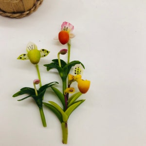 3 stuks miniatuur Lady Slipper gemaakt van klei, miniatuurtuinpoppenhuis, kleine kleibloem, schaal 1:12