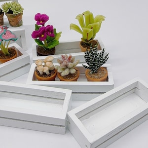 May include: White wooden planter boxes with various miniature plants, including succulents, cacti, and a purple flowering plant. The planter boxes are arranged in a staggered pattern, creating a visually appealing display.