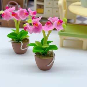 以下が含まれることがあります： ピンクの花と緑の葉を持つミニチュア鉢植えの蘭。花は赤みがかった鮮やかなピンク色をしています。植物は、ドールハウスやミニチュアディスプレイに最適な、白いアクセントが付いた小さな茶色の鉢に入っています。