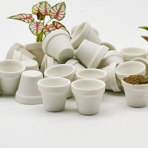 10 Stück Miniatur Blumentopf matt weiß, Miniatur Puppenhaus Feengarten, Miniatur Blumentopf, Miniatur Pflanzentopf, Mini Gartentopf