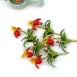 5 pieces Miniature Lady slippers Miniature Garden Dollhouse