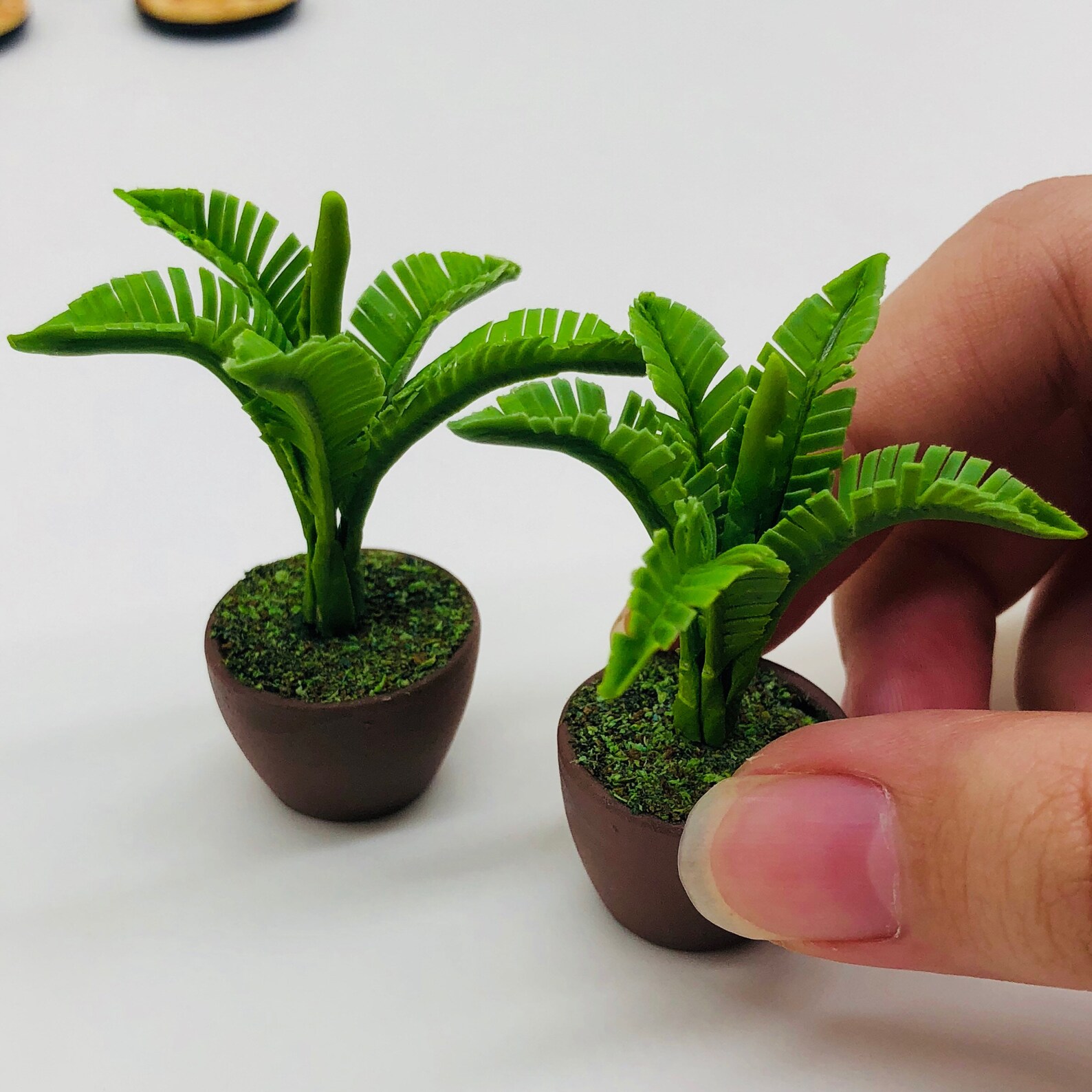 Miniature Plant in Pot 2 Pieces Miniature Garden Etsy