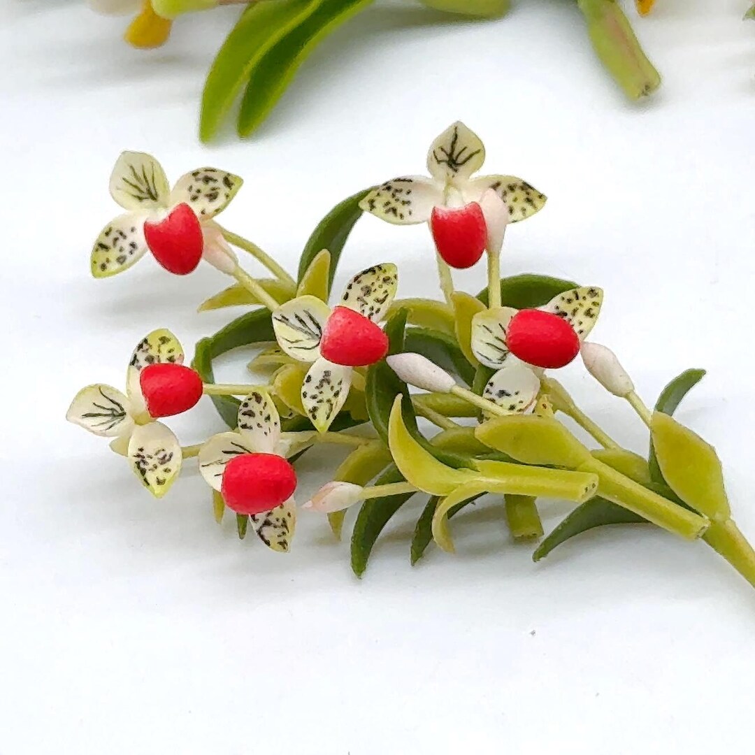 5 Pieces Miniature Lady Slippers Orchids, Miniature Garden Dollhouse 1: