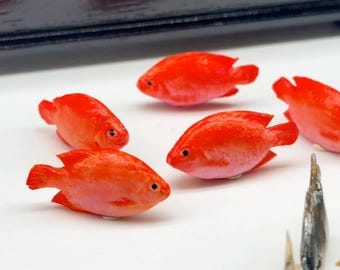 5 pieces Miniature fish look beautiful and realistic for garden houses