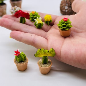 5 pieces Miniature Cactus, Miniature plants, Dollhouse Flower, Miniature Garden 1:12