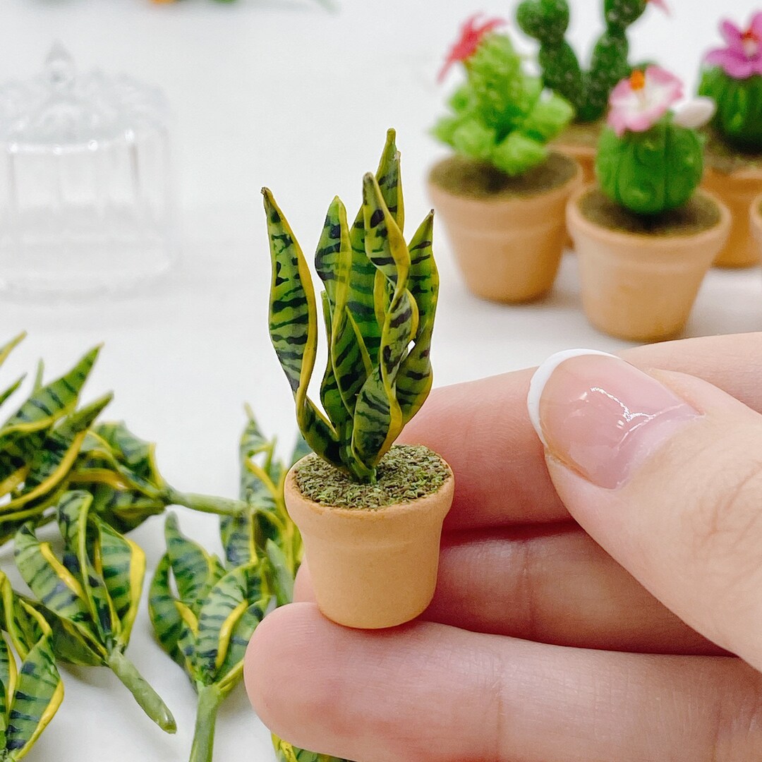 Miniature plants discount