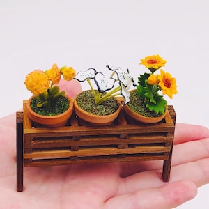 Könnte beinhalten: Ein Miniatur-Holzregal mit drei Topfpflanzen. Die Pflanzen sind eine weiß-grüne Blattpflanze, eine gelbe und orangefarbene Blume und eine gelbe Blume mit grünen Blättern. Das Regal ist braun und hat einen rustikalen Look.